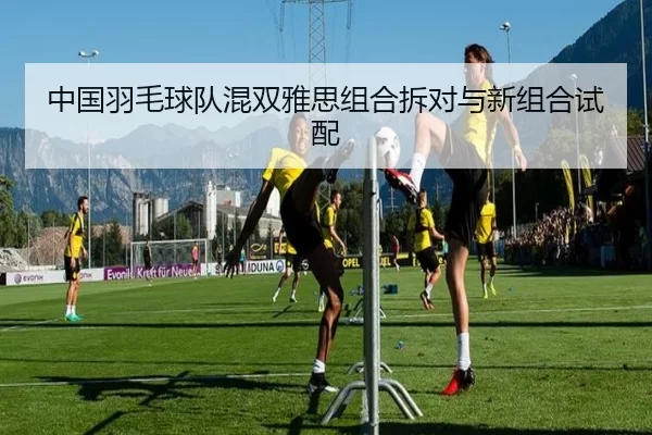 中国羽毛球队混双雅思组合拆对与新组合试配